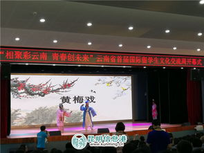 彩云之南搭橋梁 青春友誼譜新章——云南省首屆國際留學(xué)生文化交流周開幕
